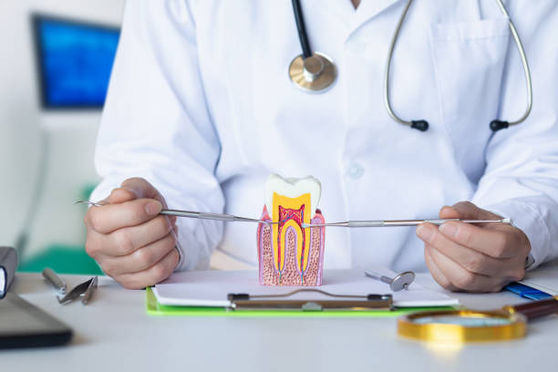 Best Orthodontic Emergency Dentist in Minot Af, ND